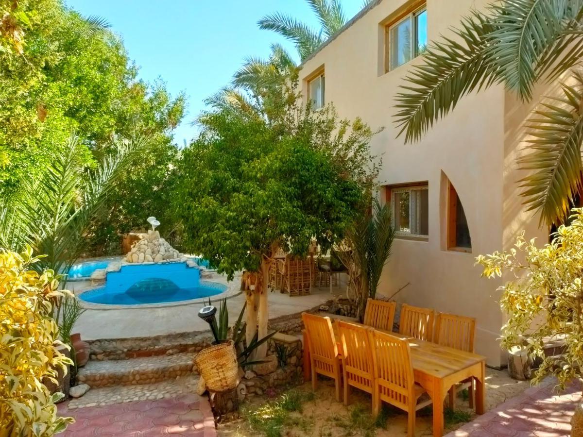 Dream Lodge Siwa Siwa Oasis Zewnętrze zdjęcie