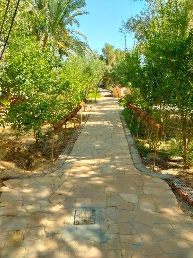 Dream Lodge Siwa Siwa Oasis Zewnętrze zdjęcie